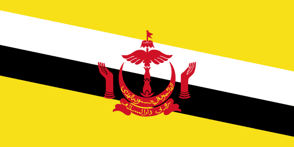 Brunei flag with Azerbaijan e-Visa documents