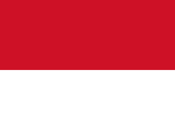 Monaco Flag with Azerbaijan e-Visa Documents